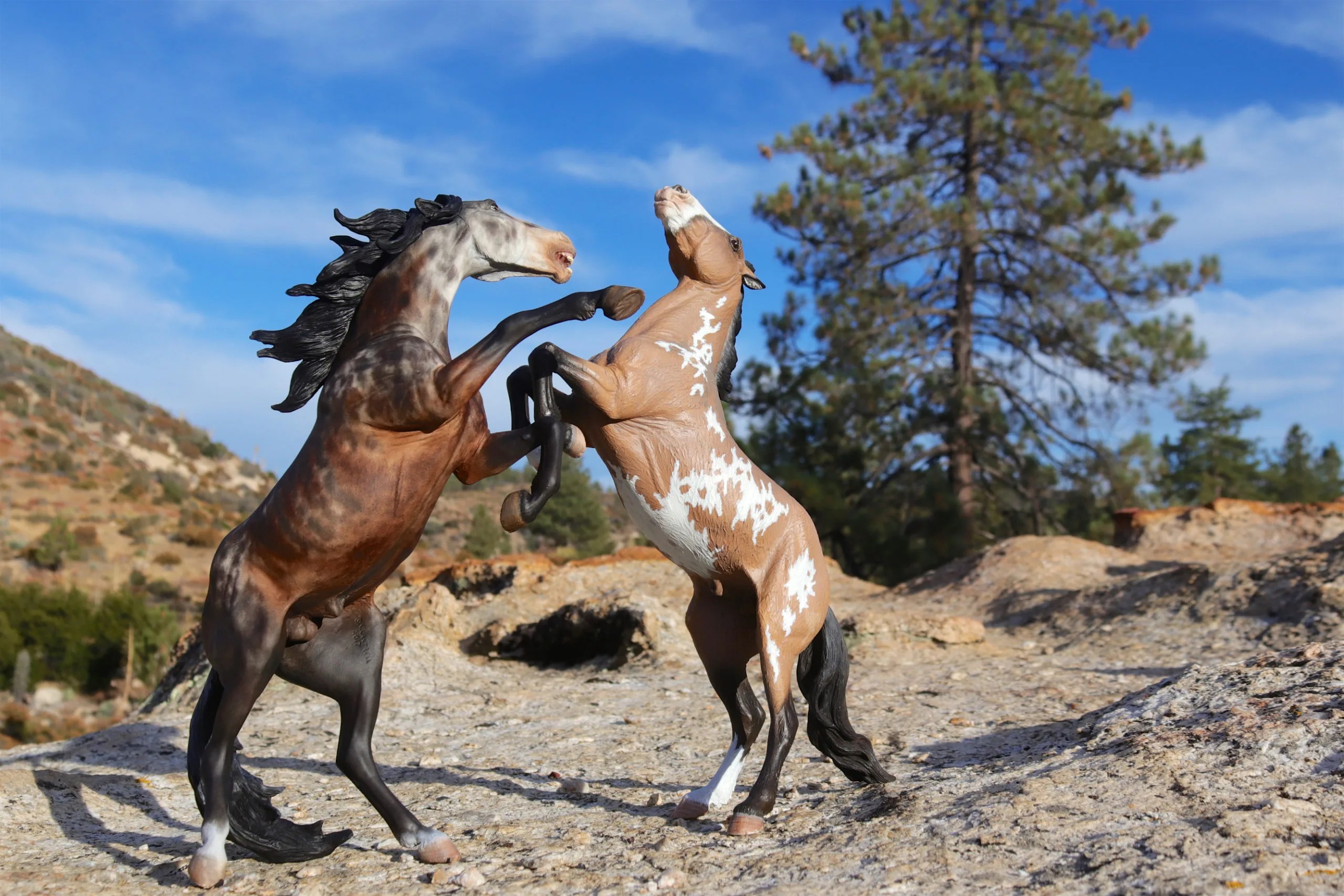 Horse models