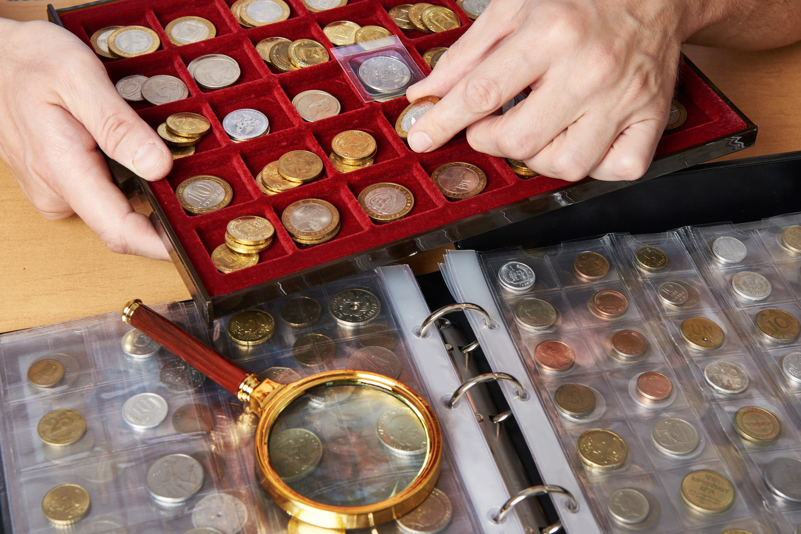 Numismatist with his collection of coins close-up