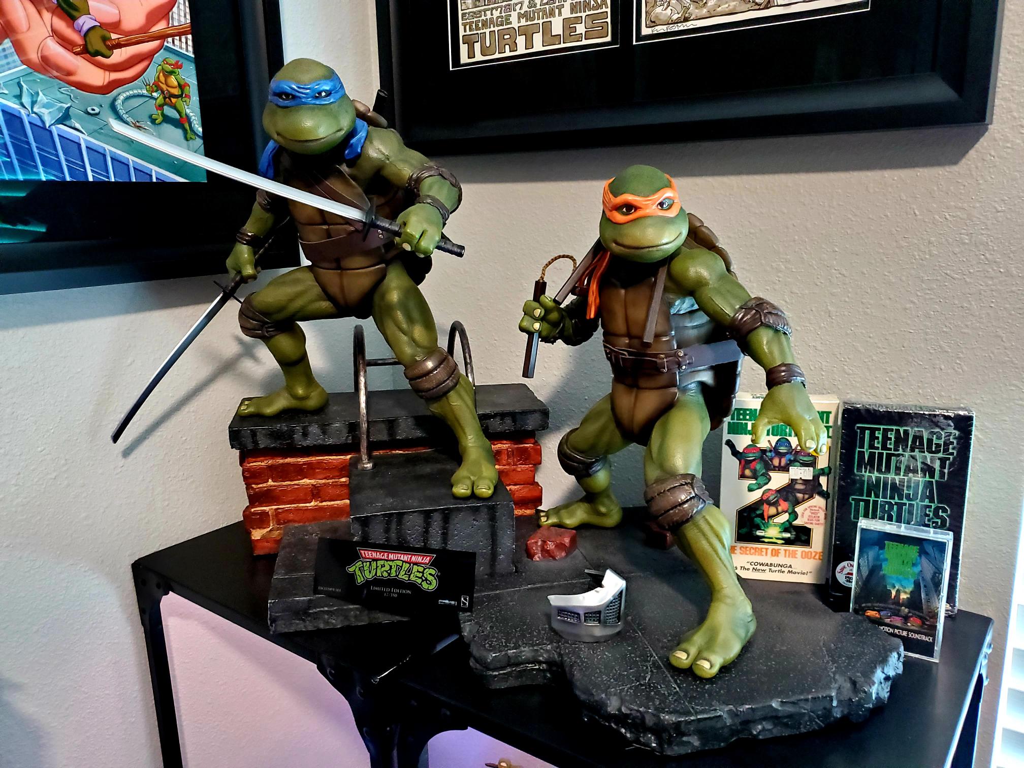 Danny Merced s Ninja Turtles Collection is Expansive and Unique