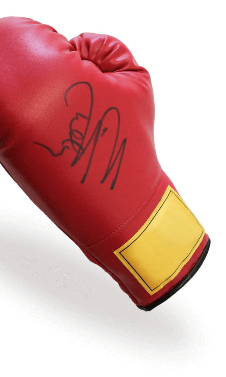 Official Boxing Glove