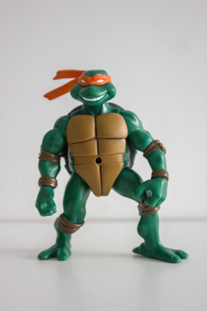 Ninja Turtle