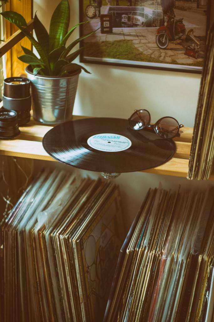 Vinyl Record Collection