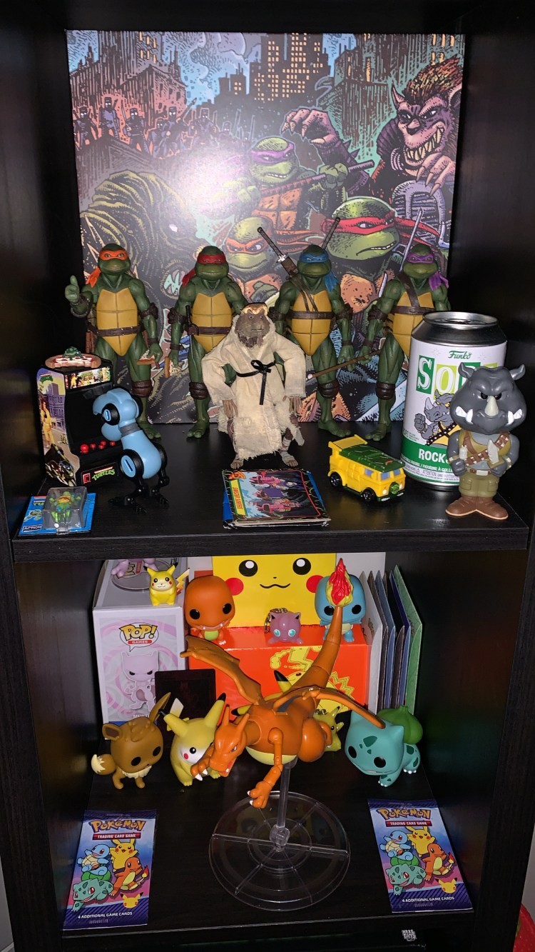 Ninja Turtes and Pokemon