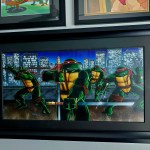 Danny Merced's Ninja Turtles Collection
